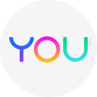 You.com Search 0.0.3 VSIX