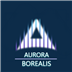Aurora Borealis Icon Image