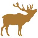 Perl Moose for VSCode