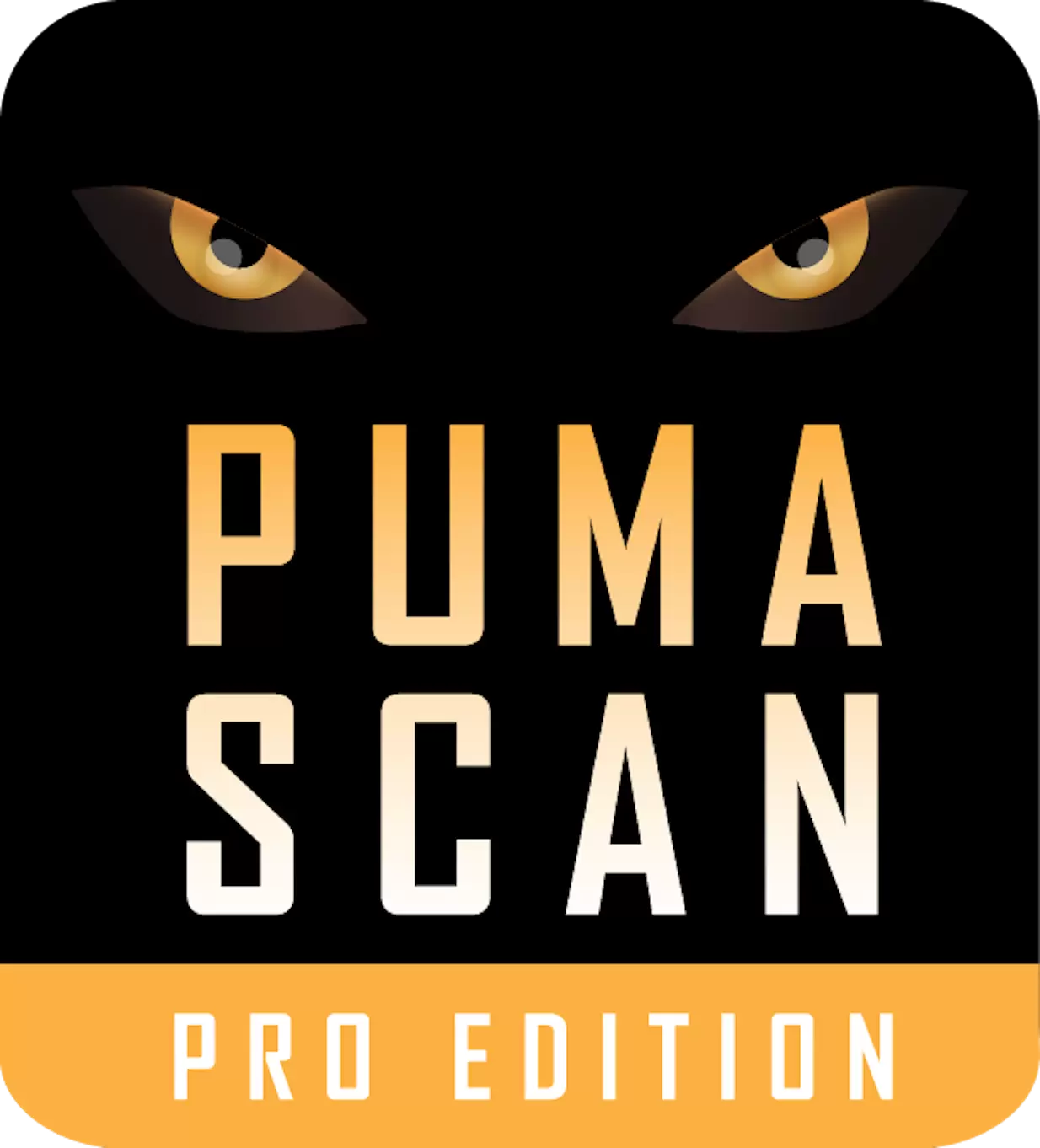 Puma Scan Professional for VSCode