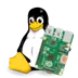 Embedded Linux Kernel Dev Icon Image