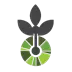 OAS-2-Tree Icon Image
