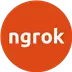 Ngrok Icon Image