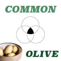 Olive Common Helper for VSCode