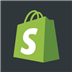 Shopify Liquid Template Snippets Icon Image