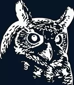 Night Owl+