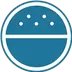 WordPress Salts Icon Image