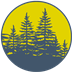 Midnight Spruce Pine