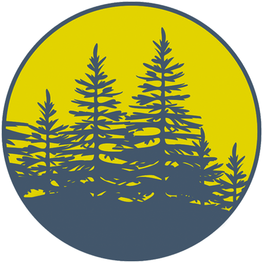 Midnight Spruce Pine for VSCode