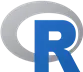 R LSP Client Icon Image