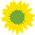 Vuesunflower Snippets Icon Image