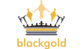 Black Gold Theme Icon Image