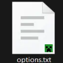 Minecraft options.txt for VSCode