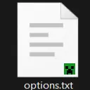 Minecraft options.txt 0.1.1 VSIX