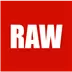 RAW Data API Icon Image