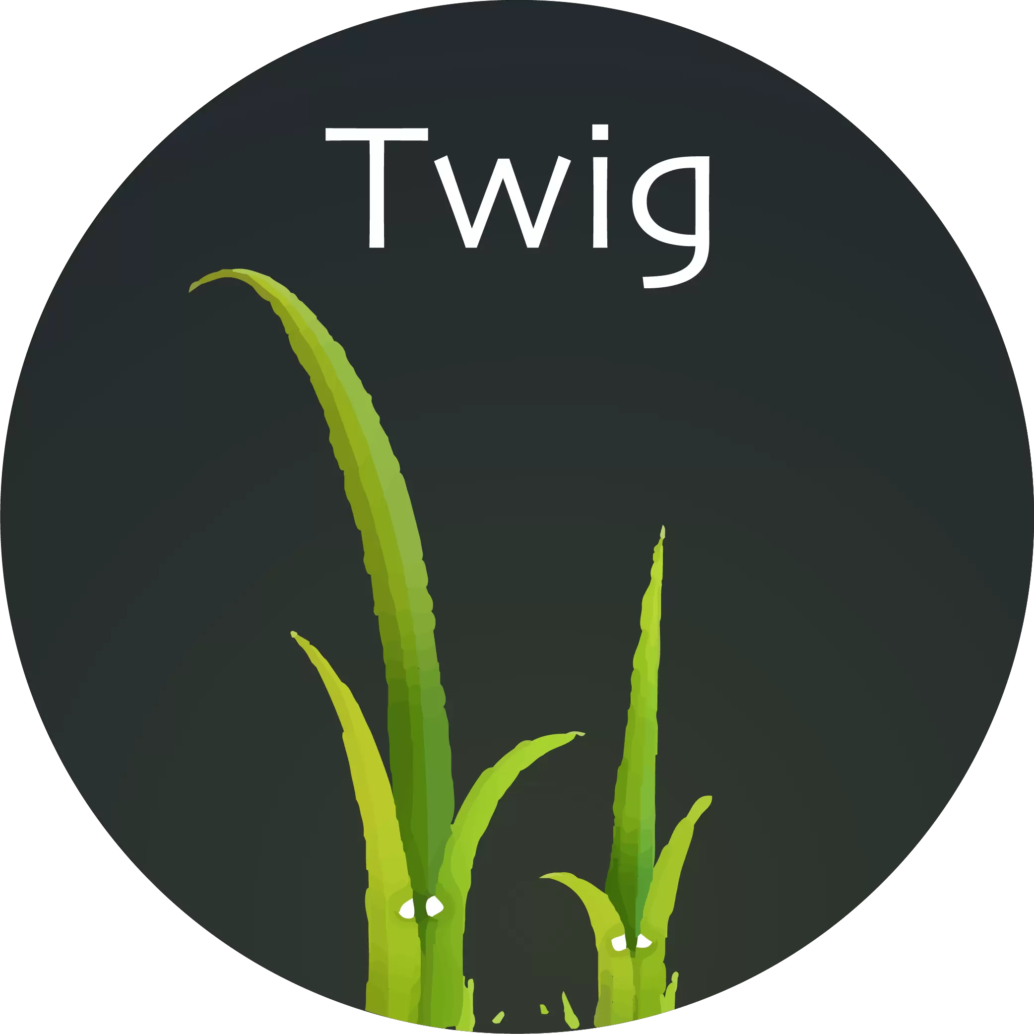 Twig Language Support