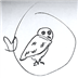 OwlApp Icon Image
