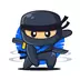 Acronym Ninja Icon Image