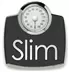 Slim Lint 0.3.0