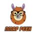 Nmap Peek Icon Image