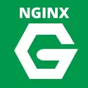 Nginx Formatter for VSCode