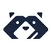 Raccoon Icon Image