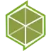 Lime Icon Image