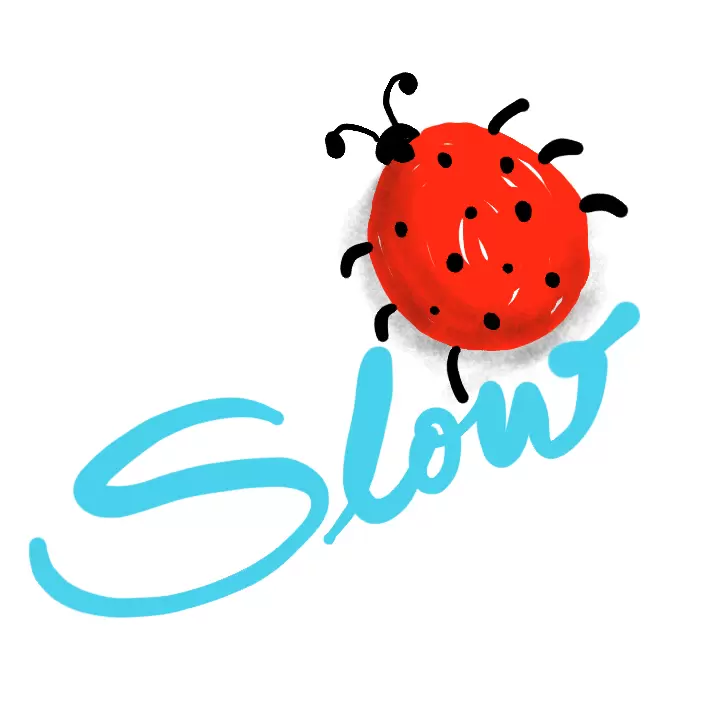 Slowbug 1.0.7 Extension for Visual Studio Code