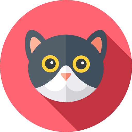 Kitty Theme 0.6.0 Extension for Visual Studio Code
