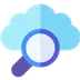 Salesforce MetaData Info Icon Image