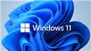 Windows 11 Color Theme