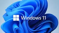 Windows 11 Color Theme