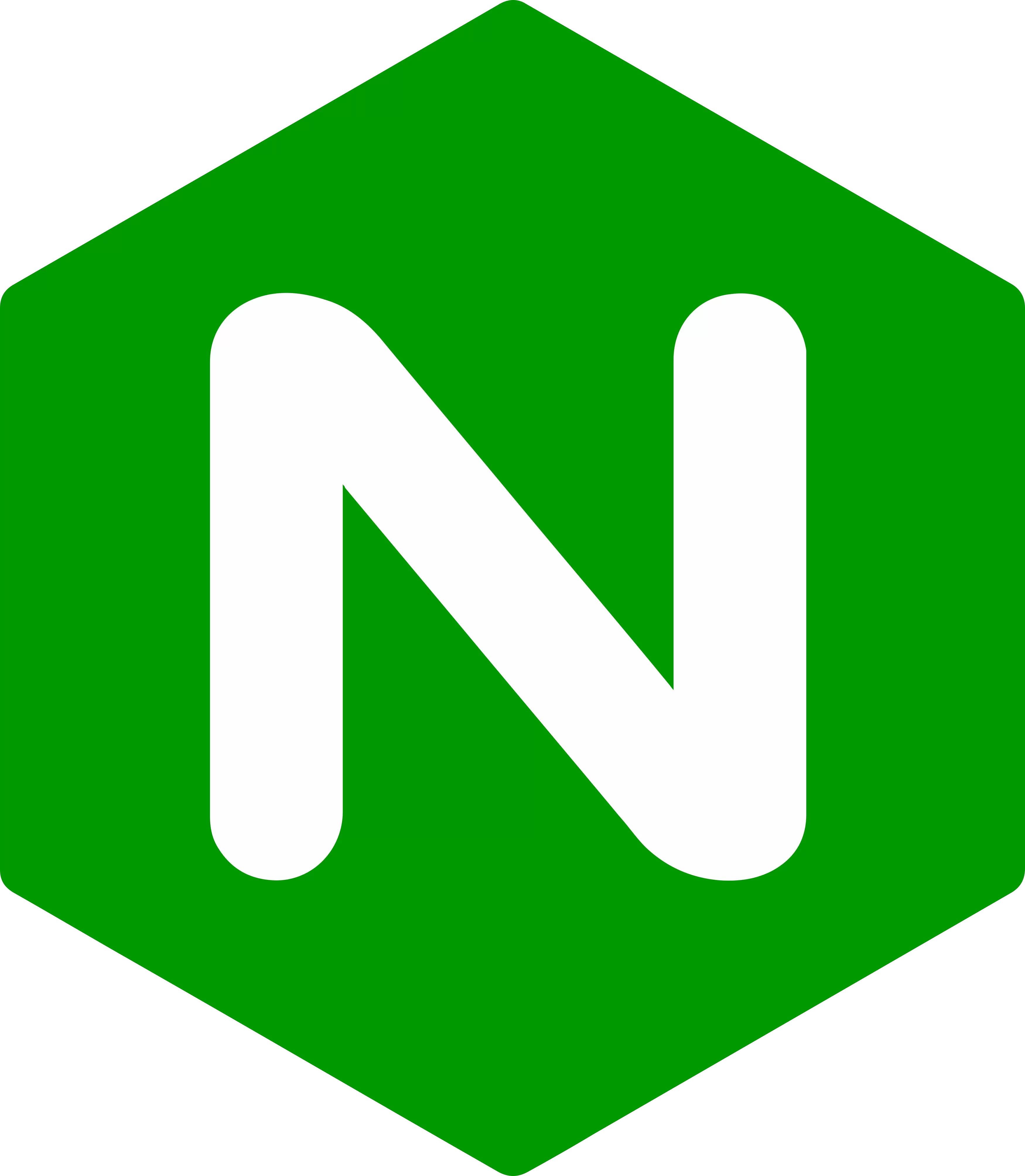 Nginx Configuration Language Support