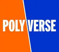 Polyverse Boost for VSCode