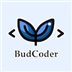 BudCoder's WordPress Plugin Builder
