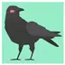 Blackbird Theme Icon Image