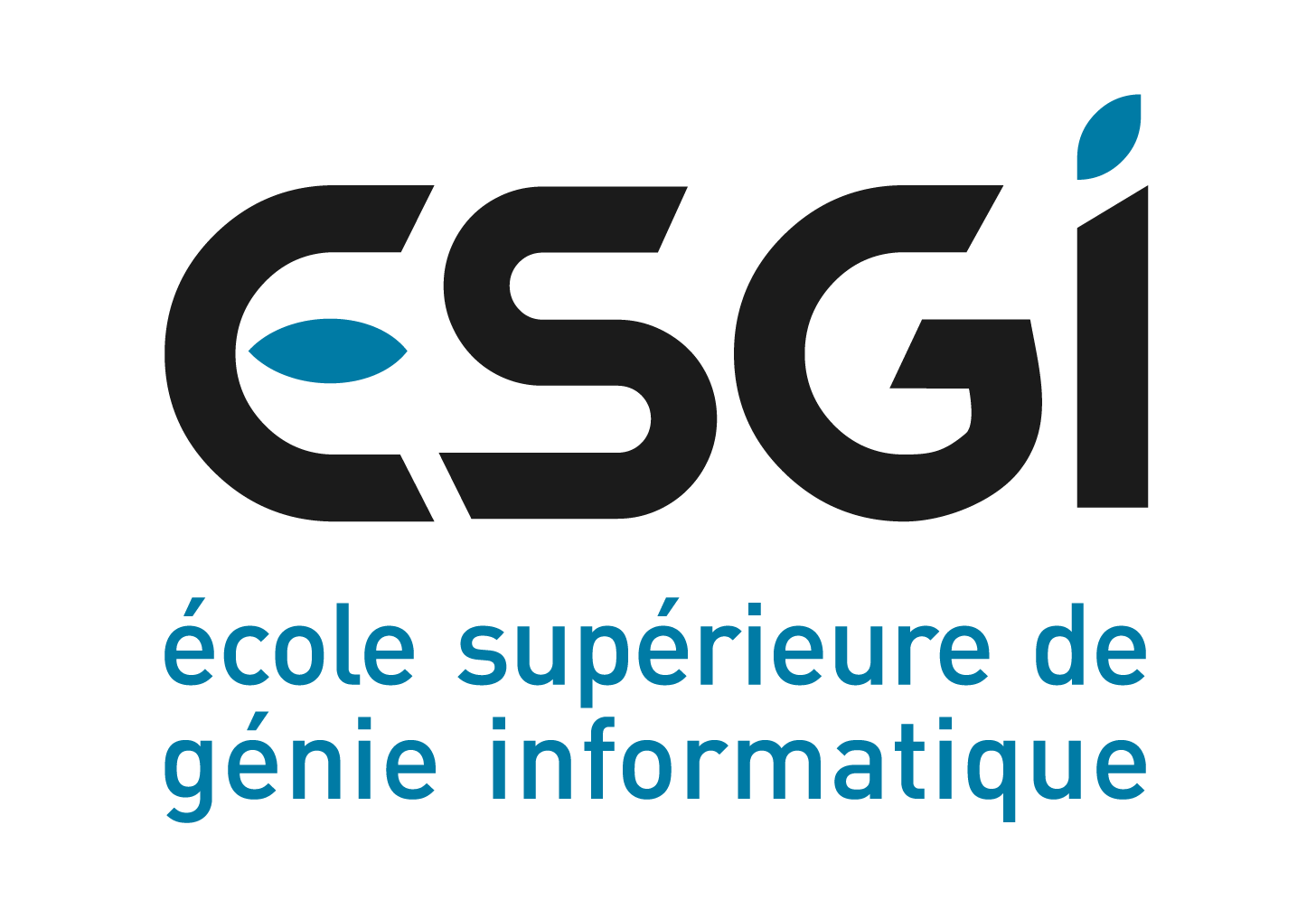 ESGI Header for VSCode