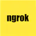 Ngrok Client Icon Image