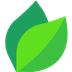 Leaf Icon Image
