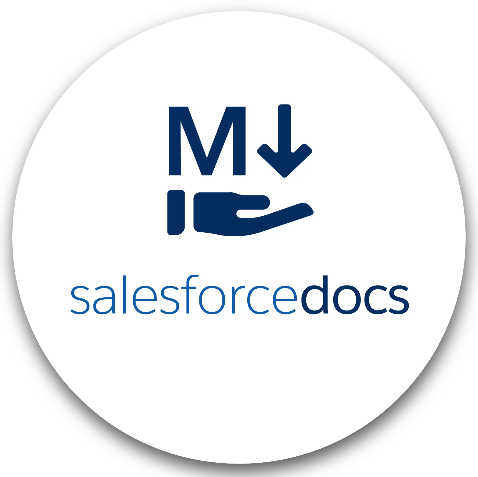 SalesforceDocs Markdown Assistant