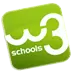 W3schools Light Theme Icon Image