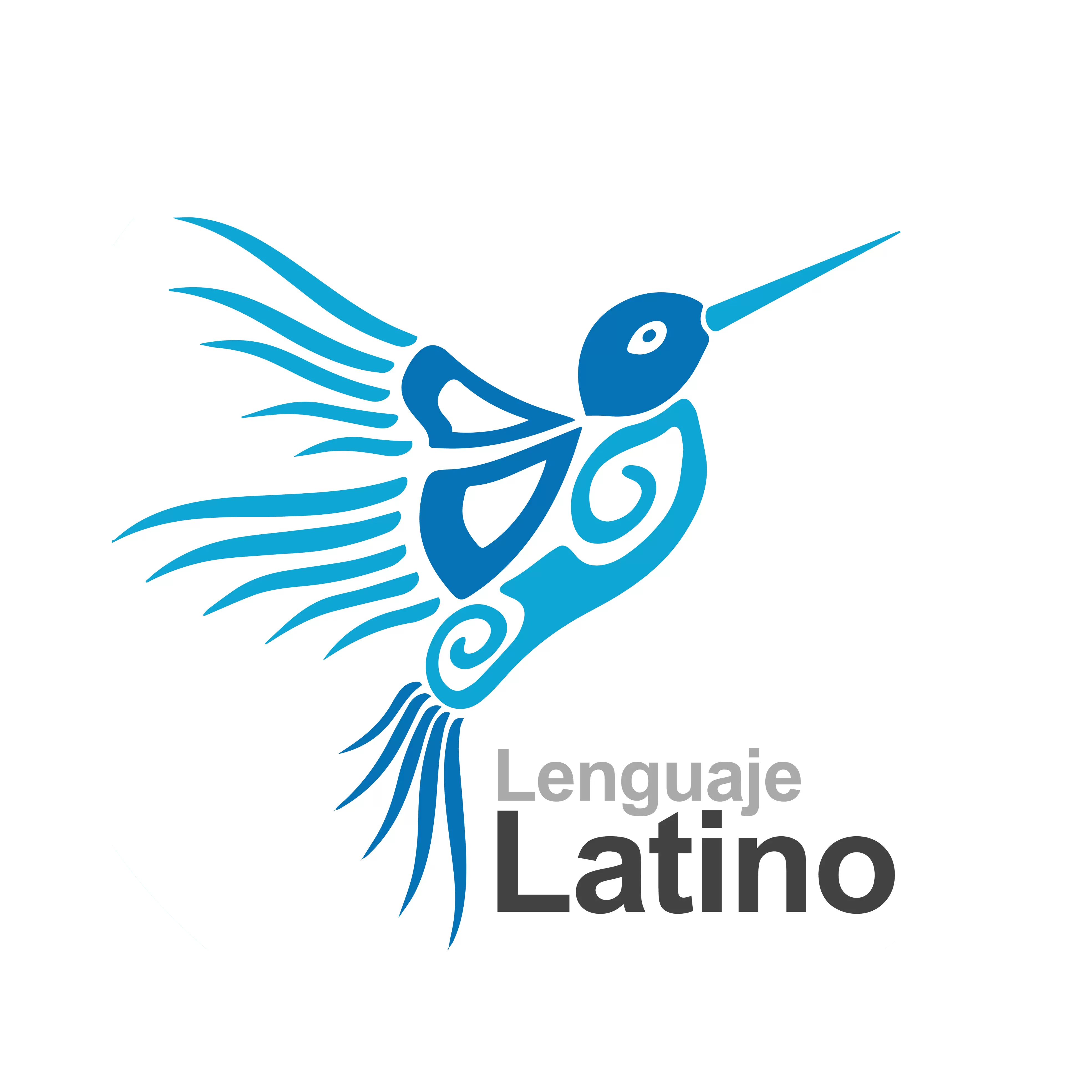 Lenguaje Latino for VSCode
