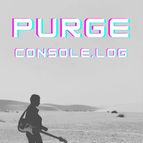 PurgeConsole for VSCode
