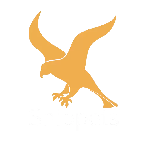 Falcon Snippets for VSCode